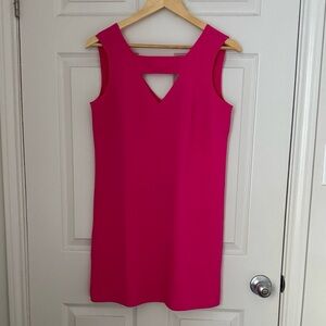 Banana Republic Vibrant Pink Shift Dress
